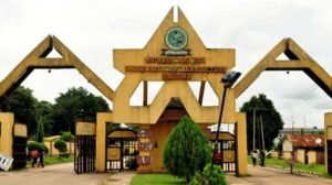 michael okpara university
